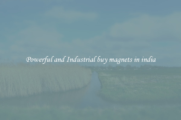 Powerful and Industrial buy magnets in india