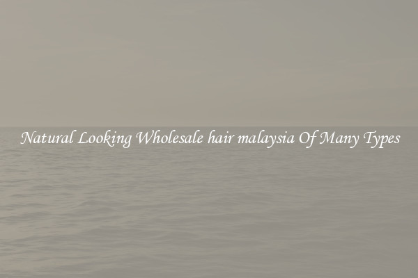 Natural Looking Wholesale hair malaysia Of Many Types