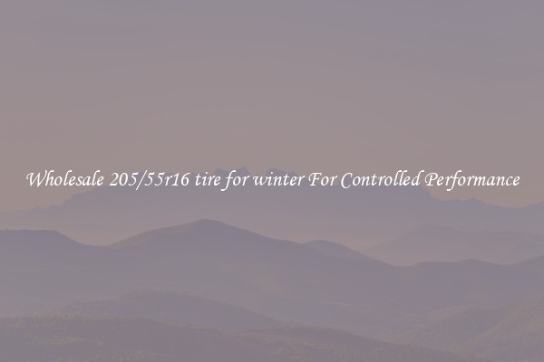 Wholesale 205/55r16 tire for winter For Controlled Performance