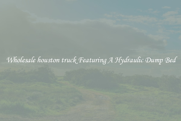 Wholesale houston truck Featuring A Hydraulic Dump Bed