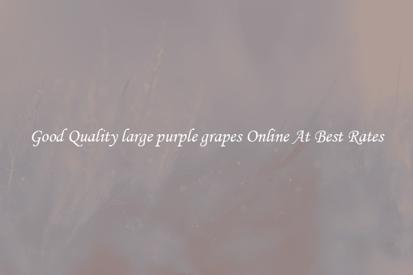 Good Quality large purple grapes Online At Best Rates