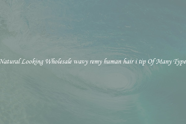 Natural Looking Wholesale wavy remy human hair i tip Of Many Types