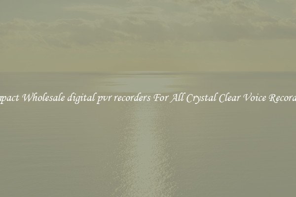 Compact Wholesale digital pvr recorders For All Crystal Clear Voice Recordings
