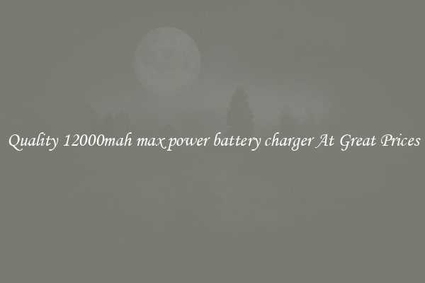 Quality 12000mah max power battery charger At Great Prices