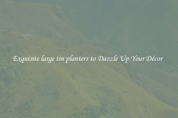 Exquisite large tin planters to Dazzle Up Your Décor  