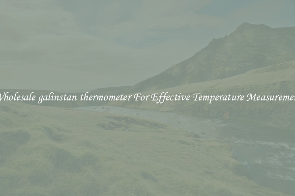 Wholesale galinstan thermometer For Effective Temperature Measurement