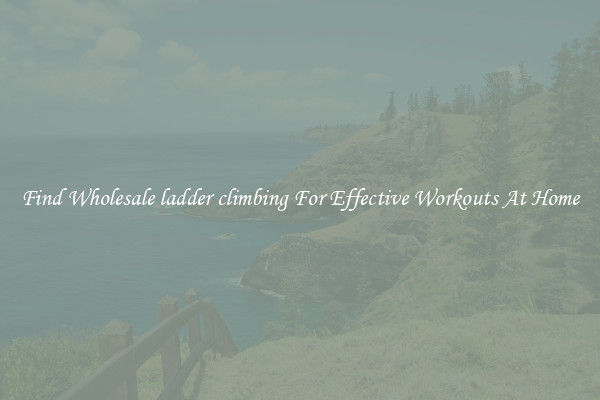 Find Wholesale ladder climbing For Effective Workouts At Home