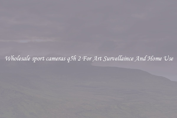 Wholesale sport cameras q5h 2 For Art Survellaince And Home Use