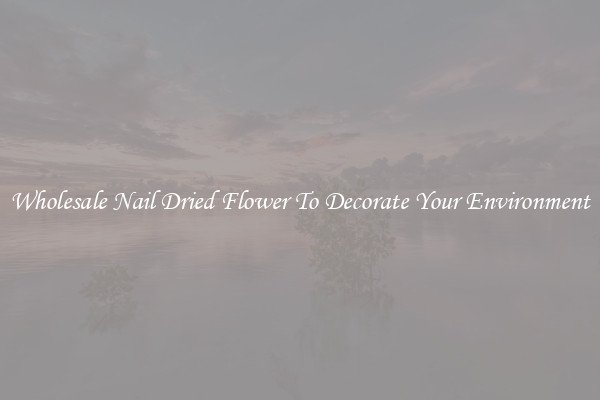 Wholesale Nail Dried Flower To Decorate Your Environment