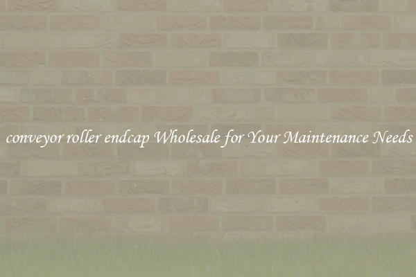 conveyor roller endcap Wholesale for Your Maintenance Needs