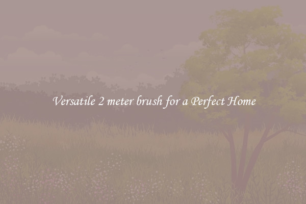 Versatile 2 meter brush for a Perfect Home