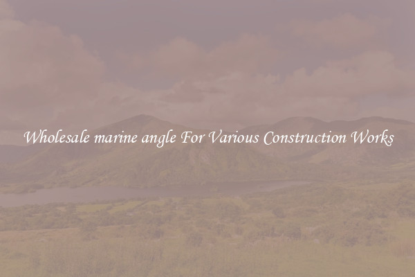 Wholesale marine angle For Various Construction Works