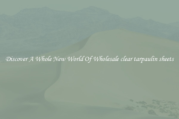 Discover A Whole New World Of Wholesale clear tarpaulin sheets