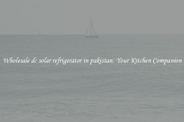 Wholesale dc solar refrigerator in pakistan: Your Kitchen Companion